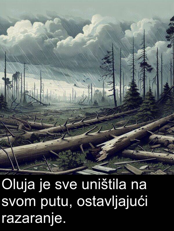 razaranje: Oluja je sve uništila na svom putu, ostavljajući razaranje.