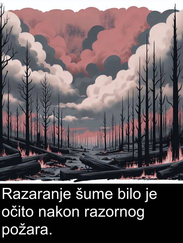 nakon: Razaranje šume bilo je očito nakon razornog požara.