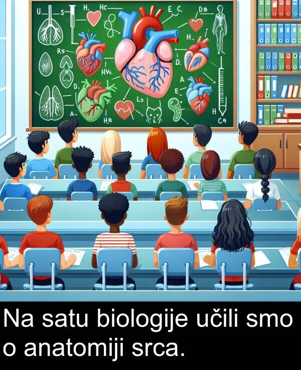 biologije: Na satu biologije učili smo o anatomiji srca.