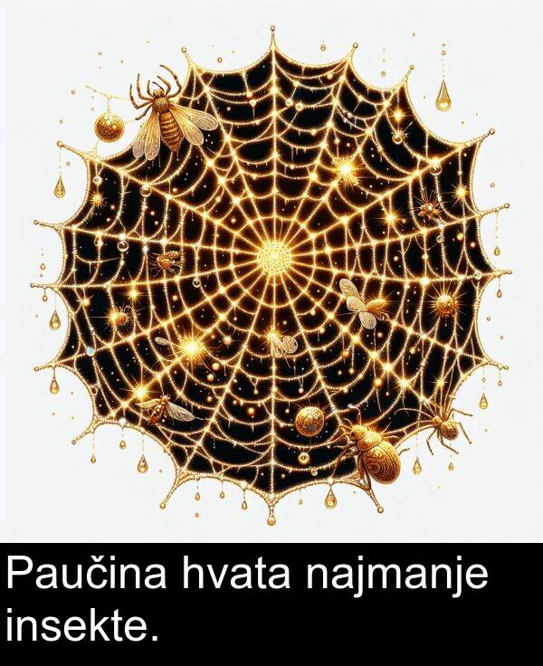 najmanje: Paučina hvata najmanje insekte.