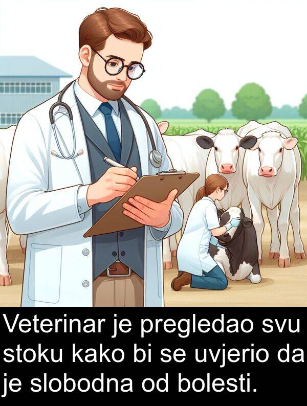 bolesti: Veterinar je pregledao svu stoku kako bi se uvjerio da je slobodna od bolesti.