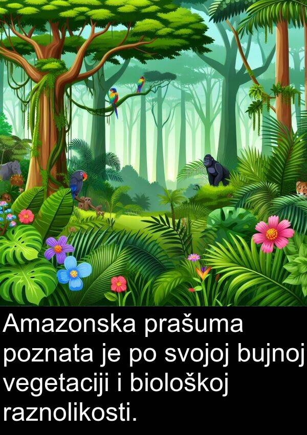 vegetaciji: Amazonska prašuma poznata je po svojoj bujnoj vegetaciji i biološkoj raznolikosti.