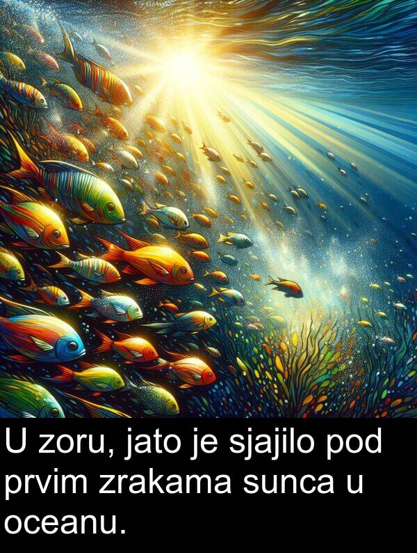 oceanu: U zoru, jato je sjajilo pod prvim zrakama sunca u oceanu.