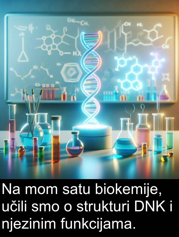 biokemije: Na mom satu biokemije, učili smo o strukturi DNK i njezinim funkcijama.