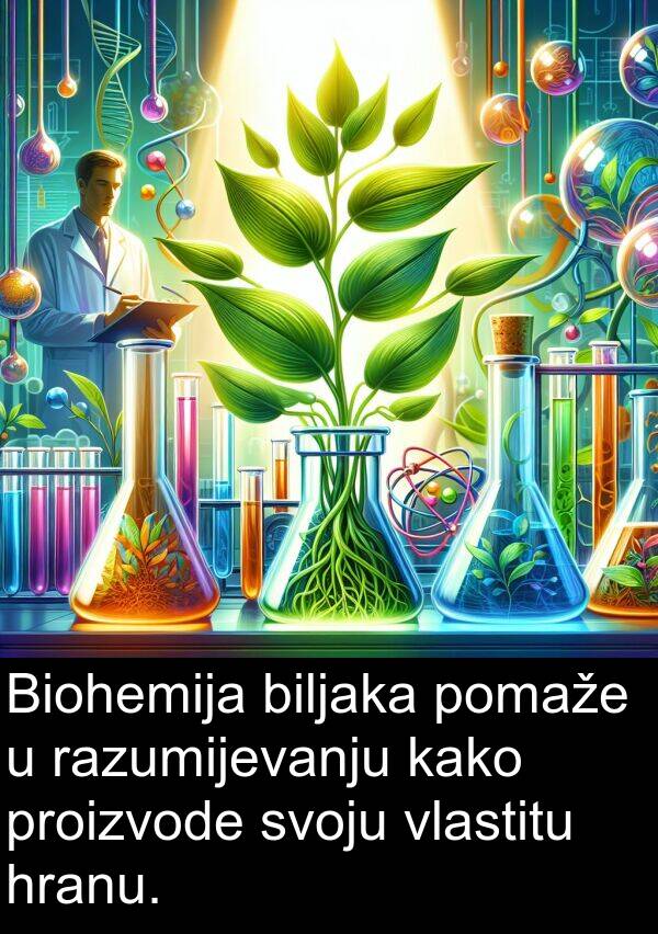 razumijevanju: Biohemija biljaka pomaže u razumijevanju kako proizvode svoju vlastitu hranu.