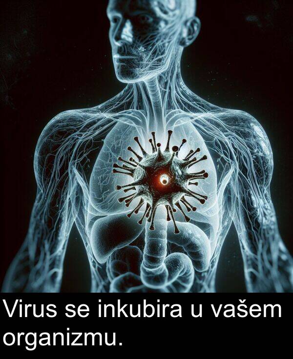 vašem: Virus se inkubira u vašem organizmu.