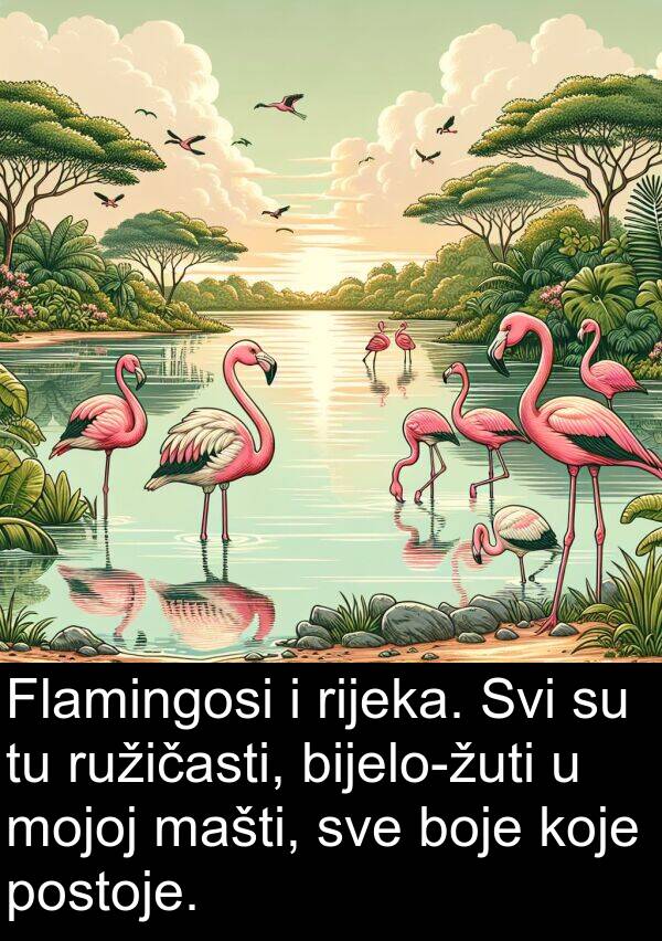 mašti: Flamingosi i rijeka. Svi su tu ružičasti, bijelo-žuti u mojoj mašti, sve boje koje postoje.