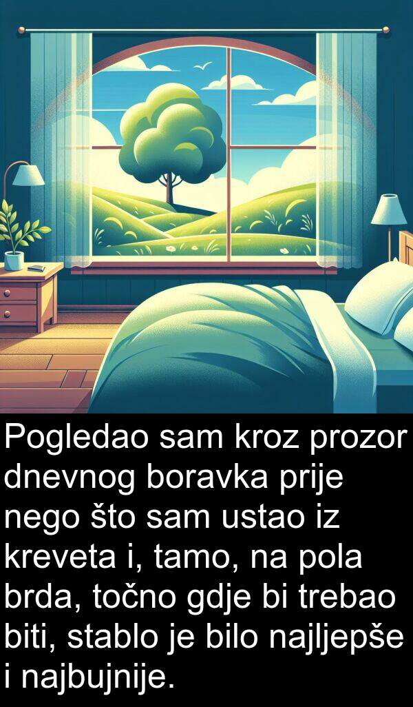 gdje: Pogledao sam kroz prozor dnevnog boravka prije nego što sam ustao iz kreveta i, tamo, na pola brda, točno gdje bi trebao biti, stablo je bilo najljepše i najbujnije.