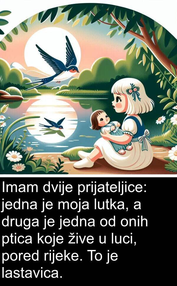 lastavica: Imam dvije prijateljice: jedna je moja lutka, a druga je jedna od onih ptica koje žive u luci, pored rijeke. To je lastavica.