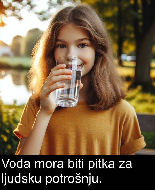 biti: Voda mora biti pitka za ljudsku potrošnju.