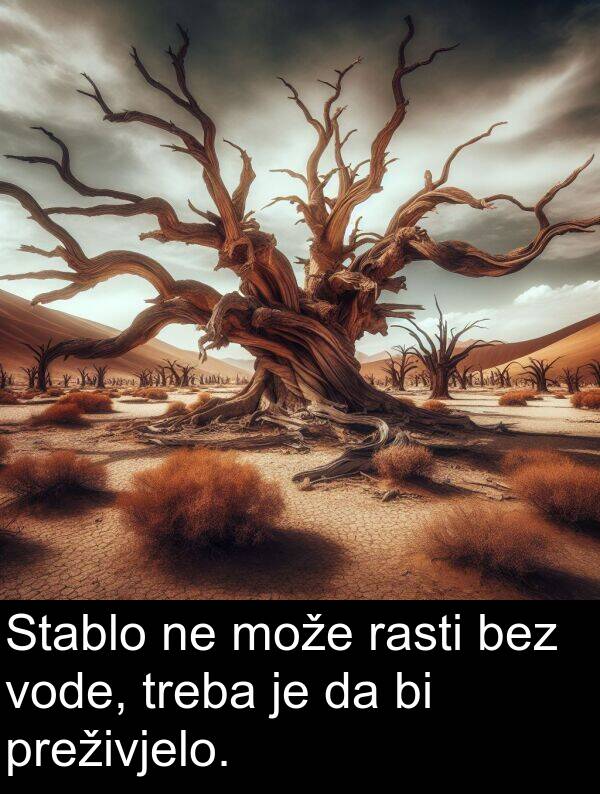 bez: Stablo ne može rasti bez vode, treba je da bi preživjelo.