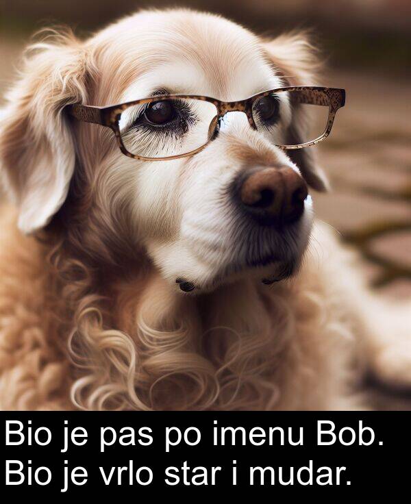 pas: Bio je pas po imenu Bob. Bio je vrlo star i mudar.