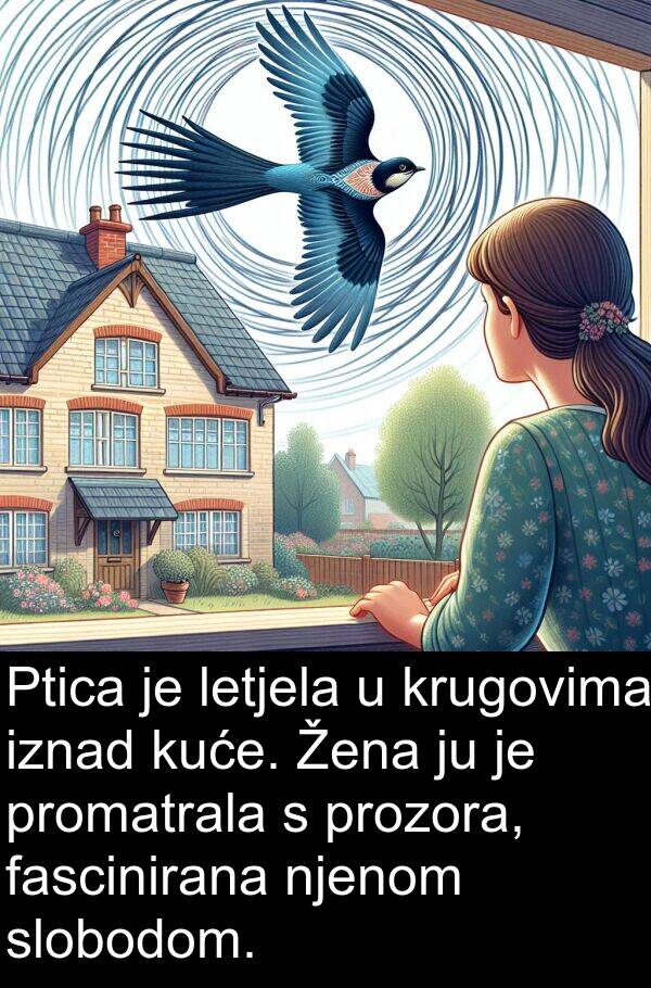 letjela: Ptica je letjela u krugovima iznad kuće. Žena ju je promatrala s prozora, fascinirana njenom slobodom.