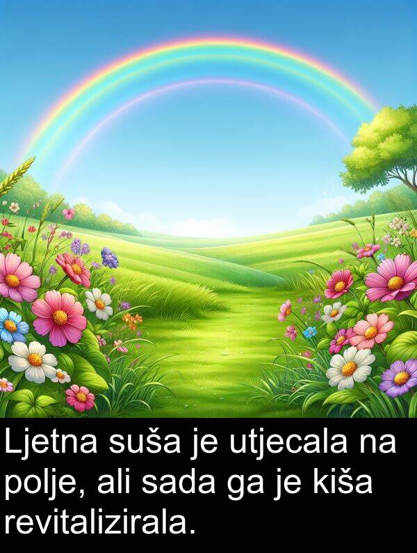 sada: Ljetna suša je utjecala na polje, ali sada ga je kiša revitalizirala.