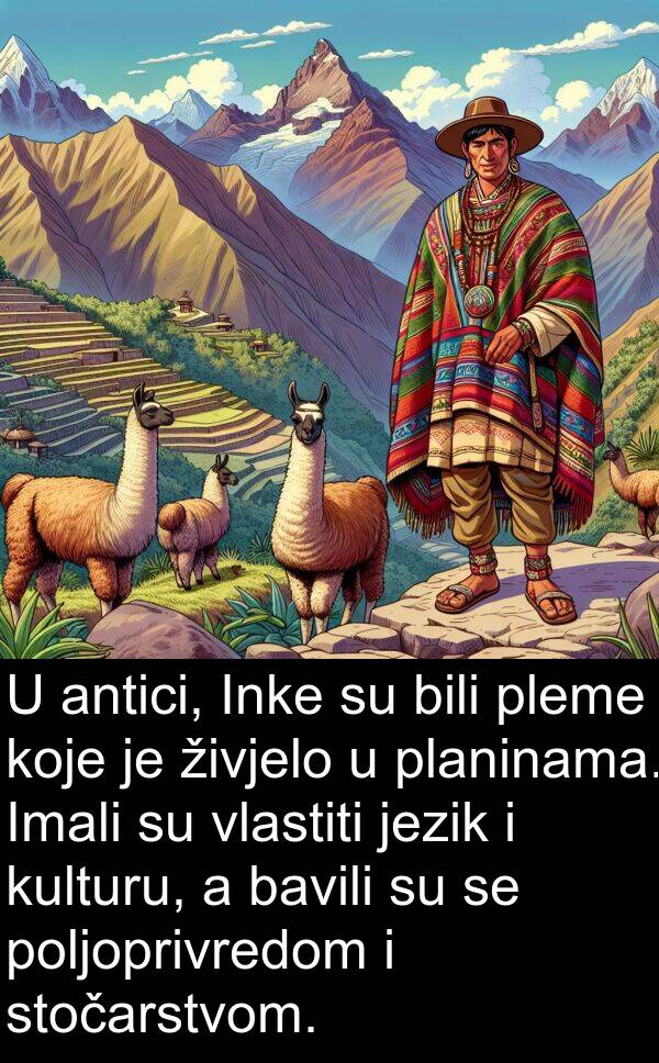 bavili: U antici, Inke su bili pleme koje je živjelo u planinama. Imali su vlastiti jezik i kulturu, a bavili su se poljoprivredom i stočarstvom.