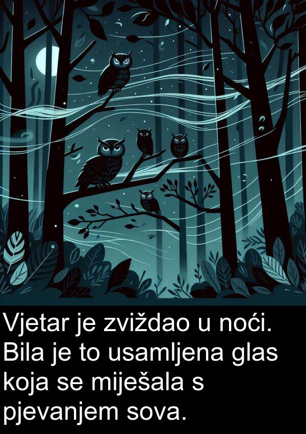 glas: Vjetar je zviždao u noći. Bila je to usamljena glas koja se miješala s pjevanjem sova.