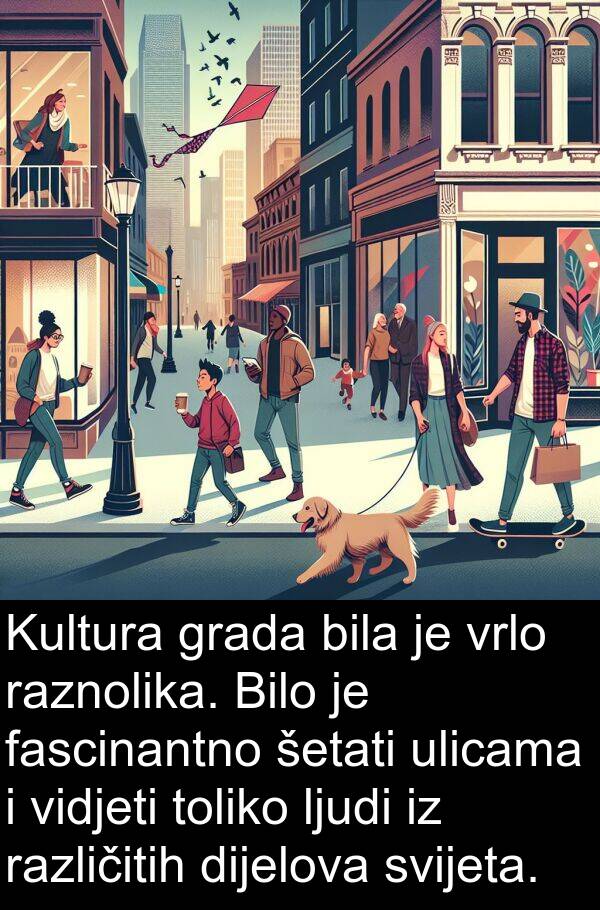 vidjeti: Kultura grada bila je vrlo raznolika. Bilo je fascinantno šetati ulicama i vidjeti toliko ljudi iz različitih dijelova svijeta.