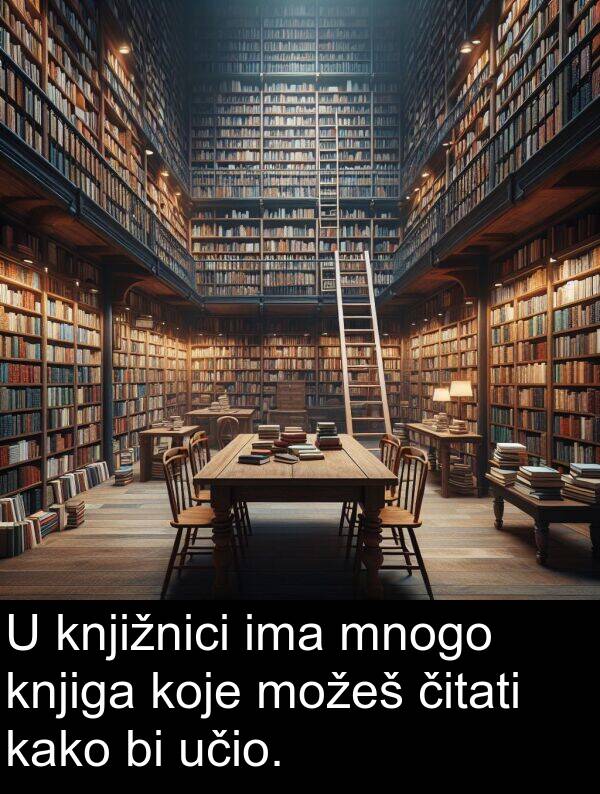 knjiga: U knjižnici ima mnogo knjiga koje možeš čitati kako bi učio.