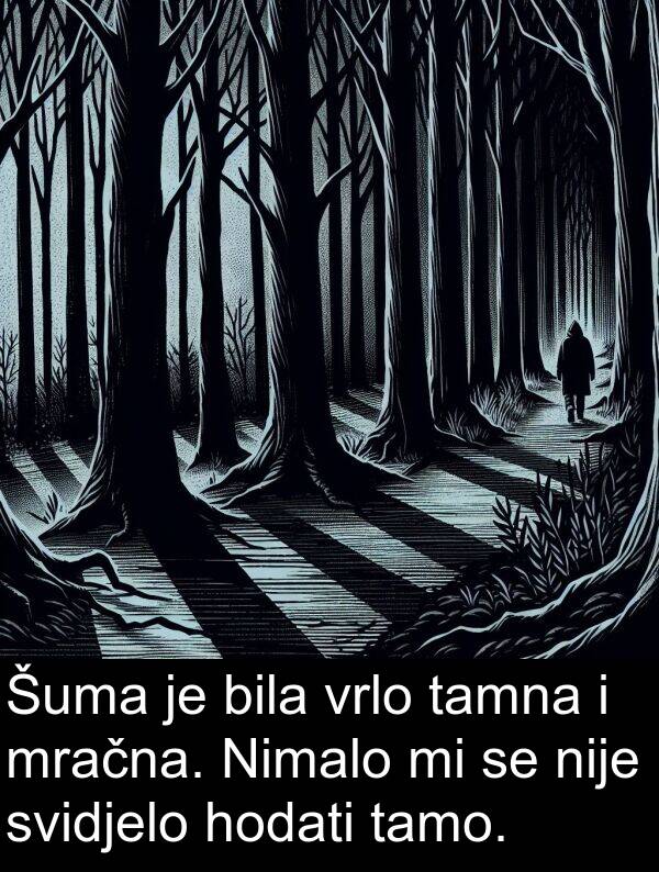 hodati: Šuma je bila vrlo tamna i mračna. Nimalo mi se nije svidjelo hodati tamo.