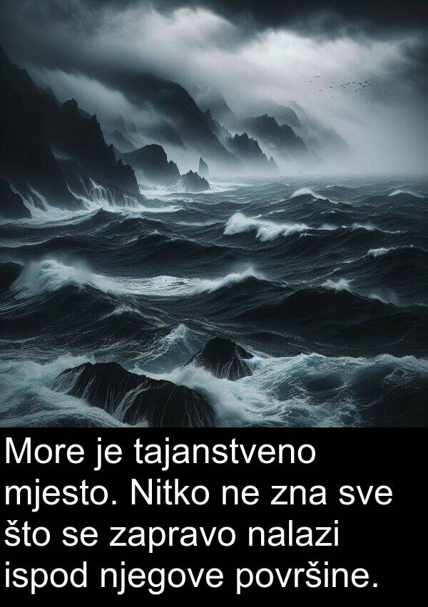 nalazi: More je tajanstveno mjesto. Nitko ne zna sve što se zapravo nalazi ispod njegove površine.