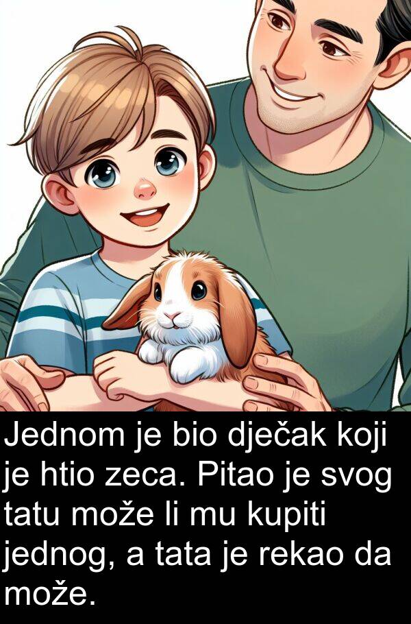 htio: Jednom je bio dječak koji je htio zeca. Pitao je svog tatu može li mu kupiti jednog, a tata je rekao da može.