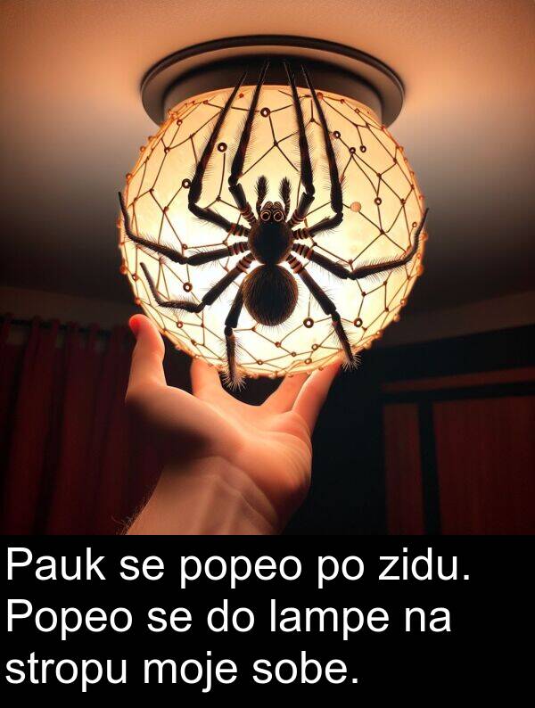 lampe: Pauk se popeo po zidu. Popeo se do lampe na stropu moje sobe.