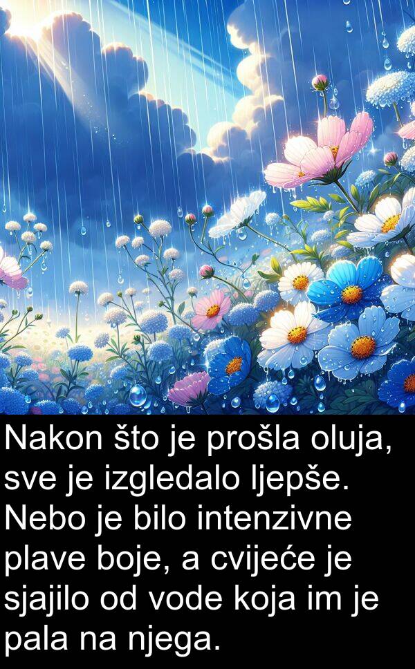 pala: Nakon što je prošla oluja, sve je izgledalo ljepše. Nebo je bilo intenzivne plave boje, a cvijeće je sjajilo od vode koja im je pala na njega.