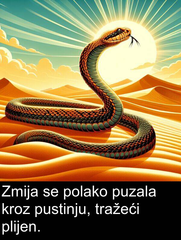 pustinju: Zmija se polako puzala kroz pustinju, tražeći plijen.