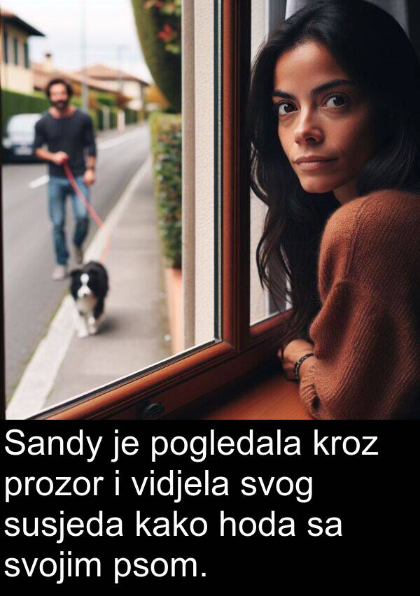 vidjela: Sandy je pogledala kroz prozor i vidjela svog susjeda kako hoda sa svojim psom.