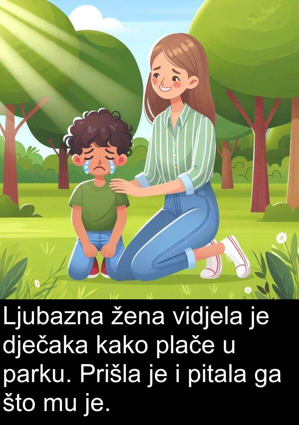 vidjela: Ljubazna žena vidjela je dječaka kako plače u parku. Prišla je i pitala ga što mu je.