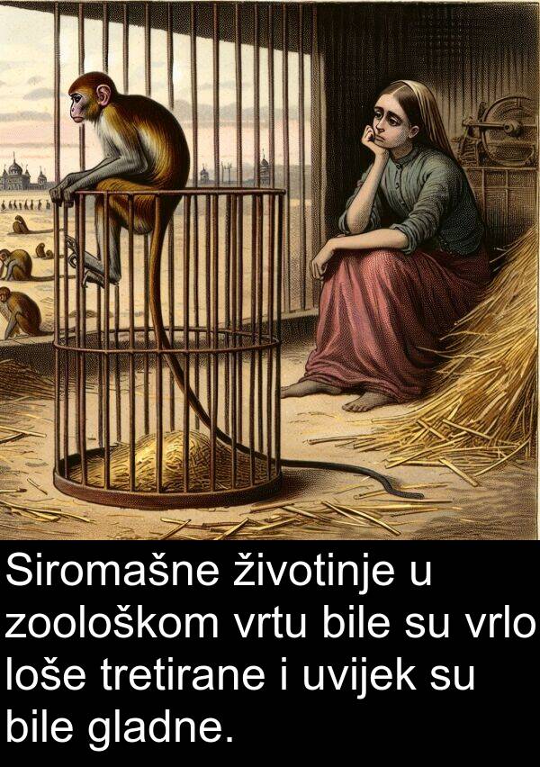 gladne: Siromašne životinje u zoološkom vrtu bile su vrlo loše tretirane i uvijek su bile gladne.