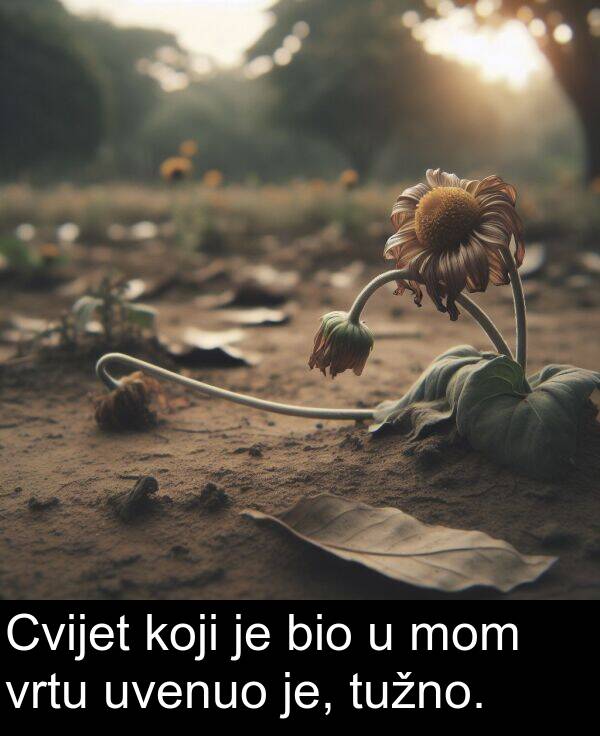 bio: Cvijet koji je bio u mom vrtu uvenuo je, tužno.