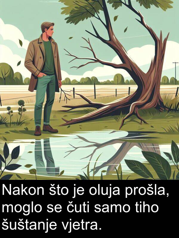 vjetra: Nakon što je oluja prošla, moglo se čuti samo tiho šuštanje vjetra.