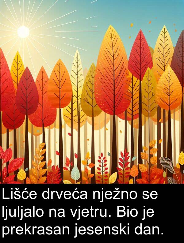 vjetru: Lišće drveća nježno se ljuljalo na vjetru. Bio je prekrasan jesenski dan.