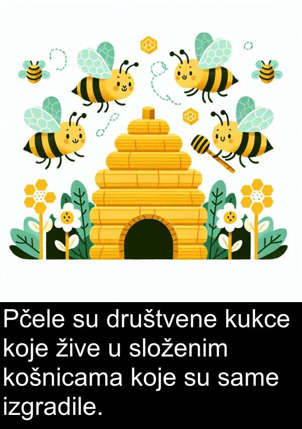 same: Pčele su društvene kukce koje žive u složenim košnicama koje su same izgradile.