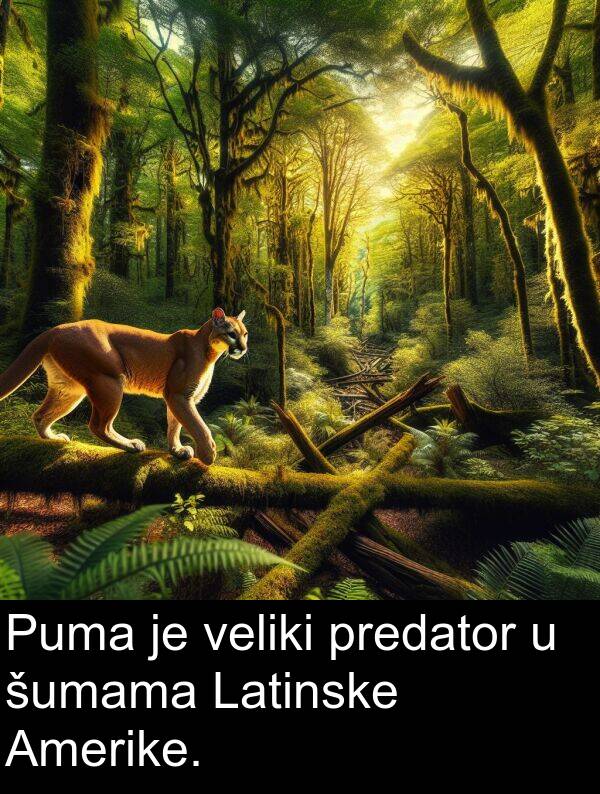 veliki: Puma je veliki predator u šumama Latinske Amerike.