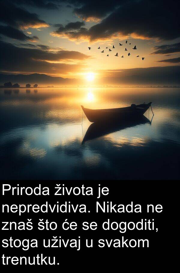 nepredvidiva: Priroda života je nepredvidiva. Nikada ne znaš što će se dogoditi, stoga uživaj u svakom trenutku.