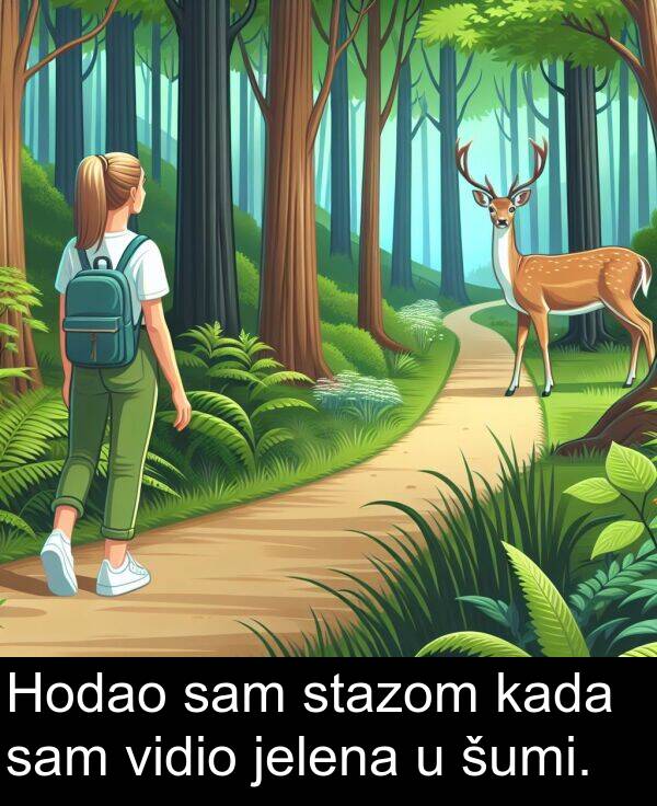 vidio: Hodao sam stazom kada sam vidio jelena u šumi.