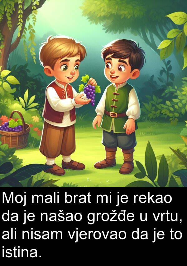 mali: Moj mali brat mi je rekao da je našao grožđe u vrtu, ali nisam vjerovao da je to istina.