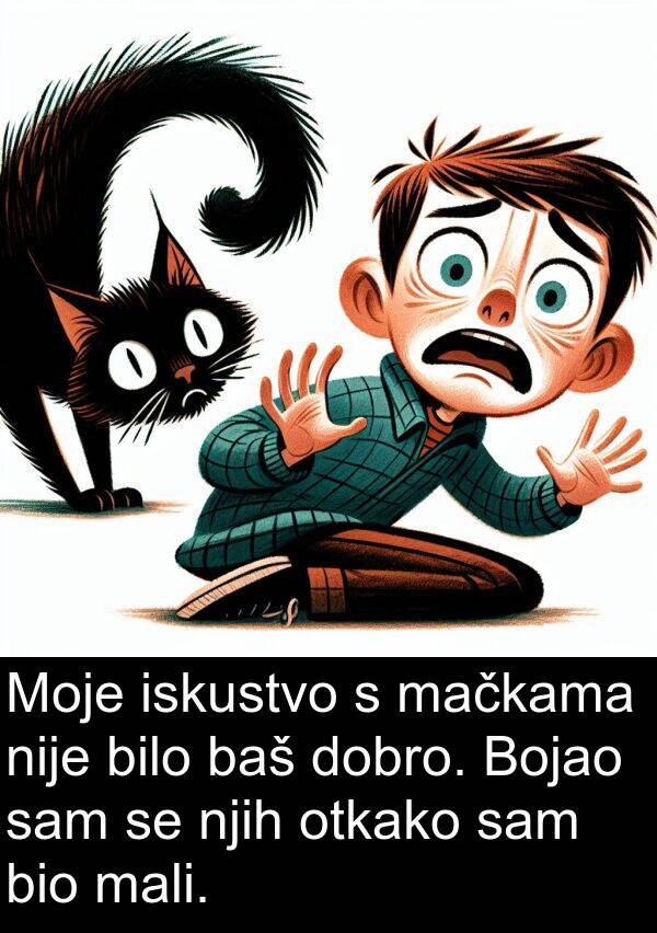 mali: Moje iskustvo s mačkama nije bilo baš dobro. Bojao sam se njih otkako sam bio mali.