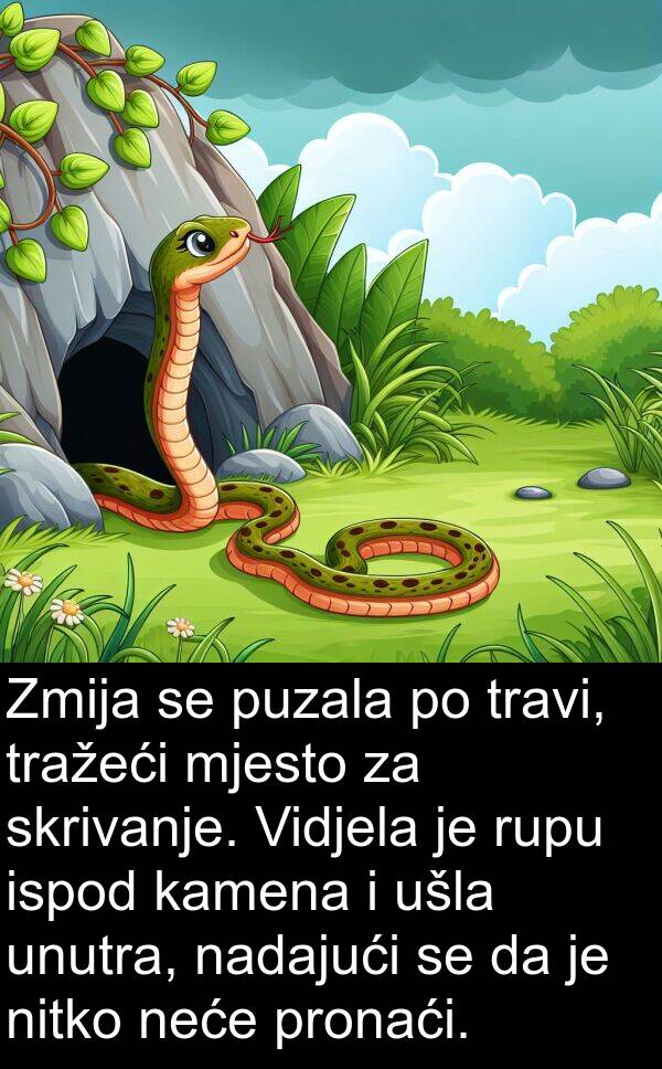 nadajući: Zmija se puzala po travi, tražeći mjesto za skrivanje. Vidjela je rupu ispod kamena i ušla unutra, nadajući se da je nitko neće pronaći.