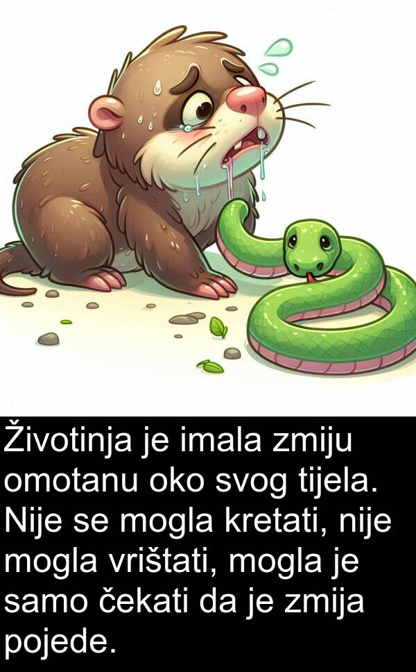 čekati: Životinja je imala zmiju omotanu oko svog tijela. Nije se mogla kretati, nije mogla vrištati, mogla je samo čekati da je zmija pojede.