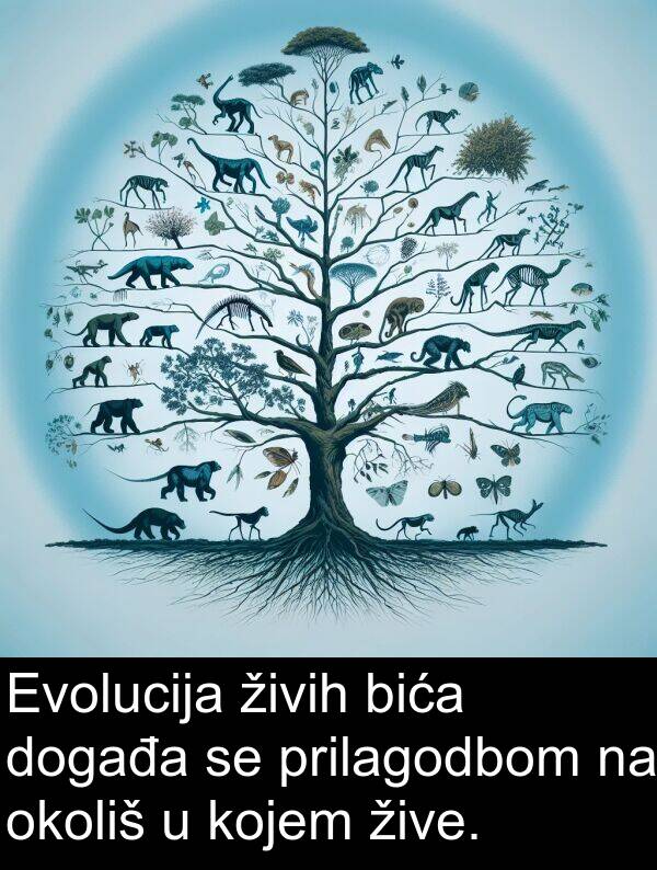 bića: Evolucija živih bića događa se prilagodbom na okoliš u kojem žive.