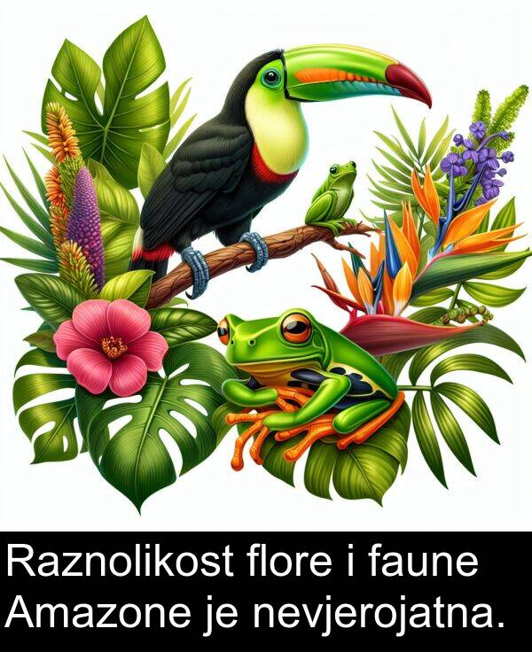 flore: Raznolikost flore i faune Amazone je nevjerojatna.