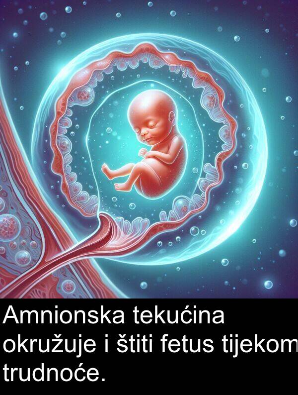 fetus: Amnionska tekućina okružuje i štiti fetus tijekom trudnoće.