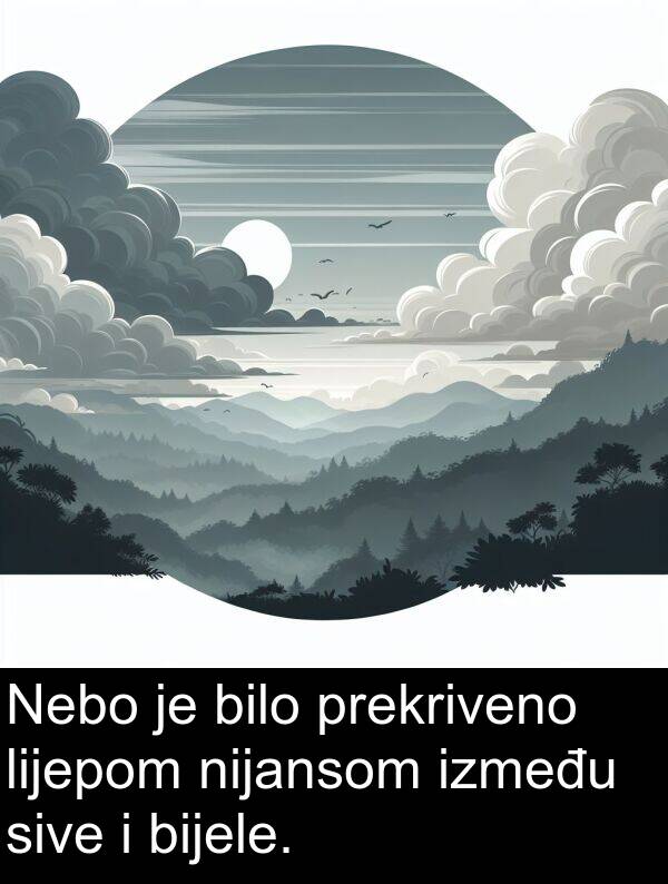 bijele: Nebo je bilo prekriveno lijepom nijansom između sive i bijele.