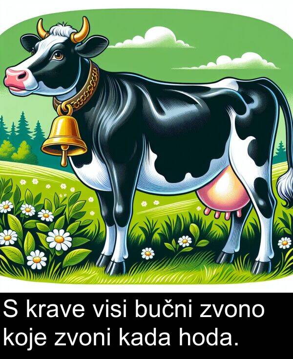 visi: S krave visi bučni zvono koje zvoni kada hoda.