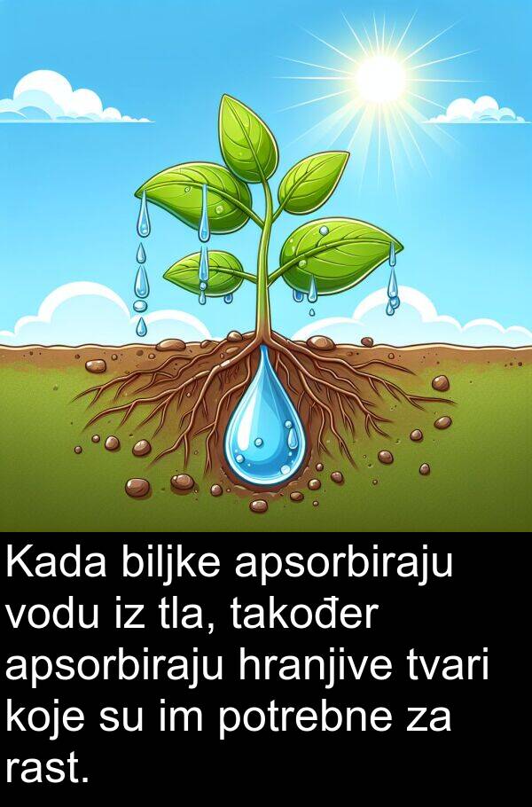 biljke: Kada biljke apsorbiraju vodu iz tla, također apsorbiraju hranjive tvari koje su im potrebne za rast.