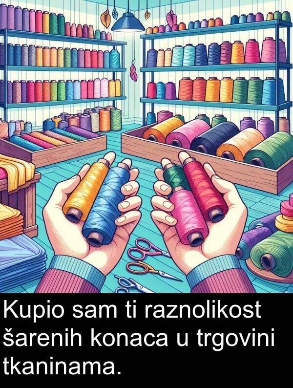 raznolikost: Kupio sam ti raznolikost šarenih konaca u trgovini tkaninama.