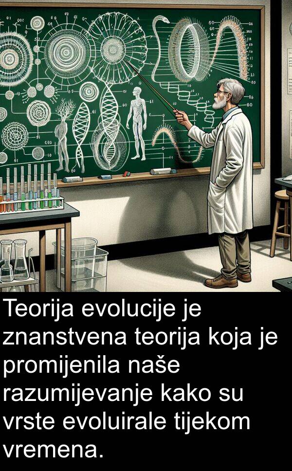 evoluirale: Teorija evolucije je znanstvena teorija koja je promijenila naše razumijevanje kako su vrste evoluirale tijekom vremena.